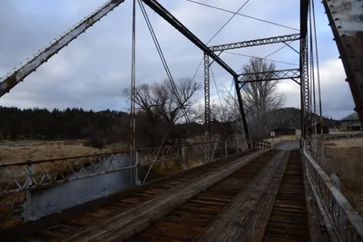 DSC_2932 (Large).JPG